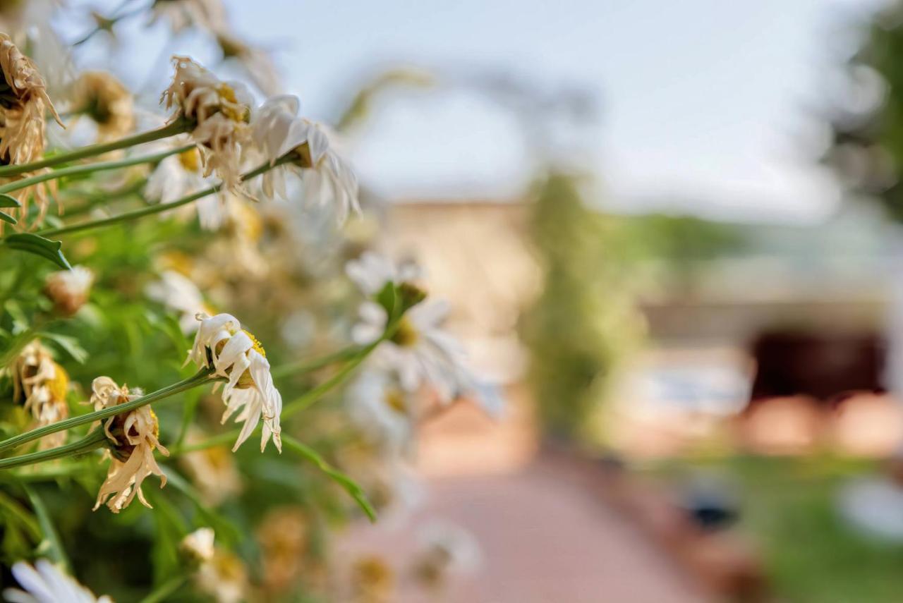 Holiday Home Giardino Marino Pomer Exterior photo