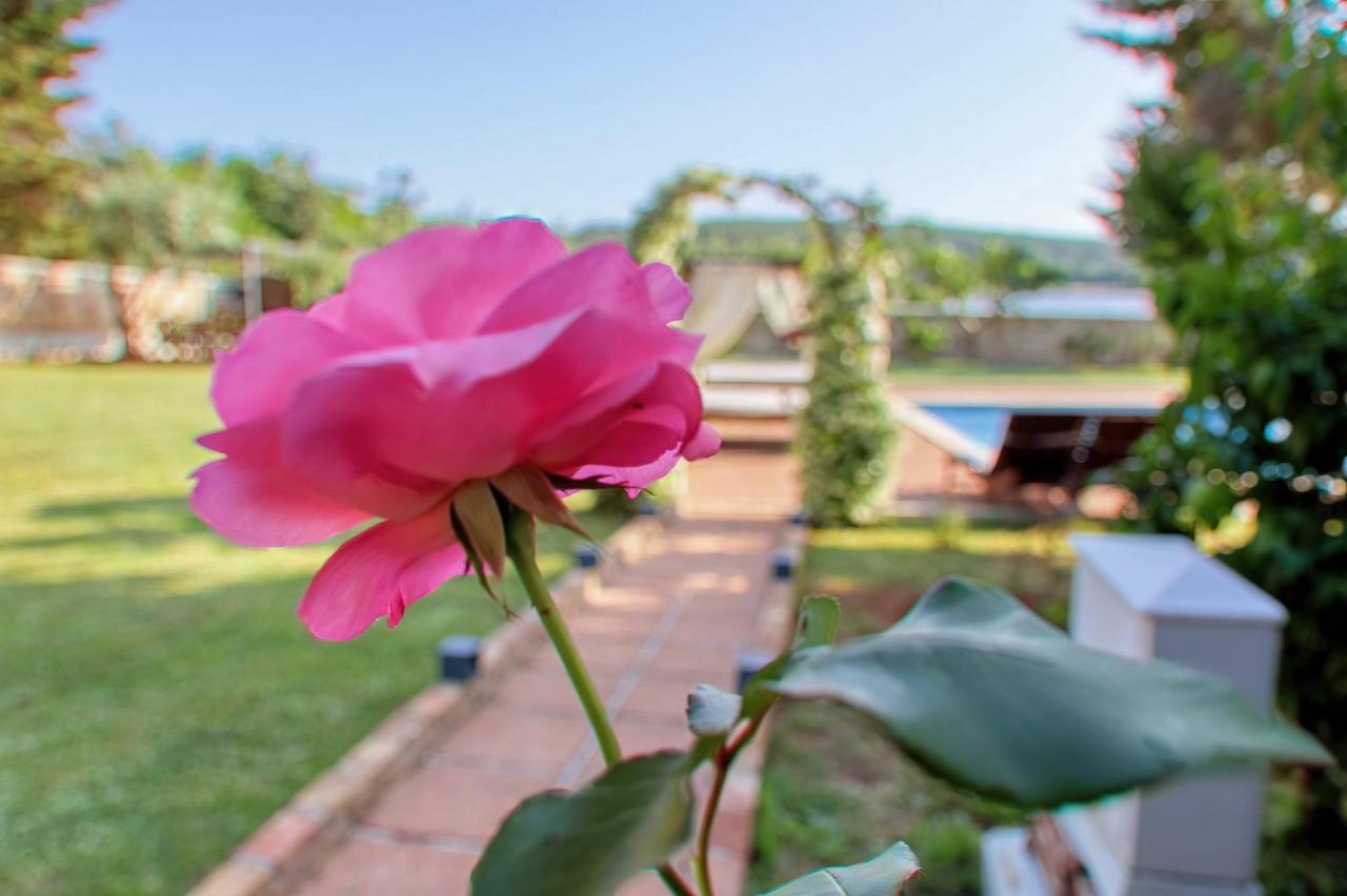 Holiday Home Giardino Marino Pomer Exterior photo